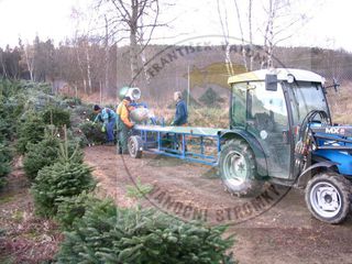 Balicí zařízení na vánoční stromky - strojní