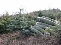 Síť svazek 300 m průměr 34 cm na balení vánočních stromků